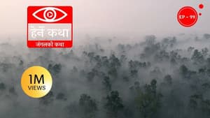 Jungle ko Katha