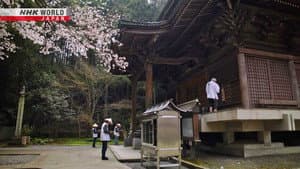 The Flower Pilgrimages of Shikoku