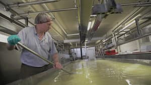 Hook's Cheese