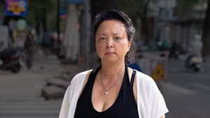 Missing Pieces - Sue-Yen Luiten