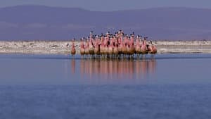 Atacama, Chile