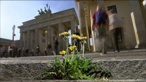Wild Berlin