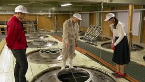 Immerse yourself in Japanese sake in Kanazawa