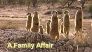 A Family Affair
