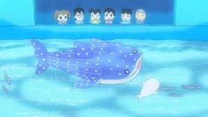 Episode 31