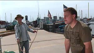 Bull Whip