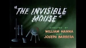 The Invisible Mouse
