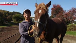 Chasing a Dream With a Horse
