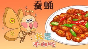 Episode 43