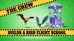 The Crew Builds a Bird Flight School