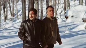 Pine Barrens