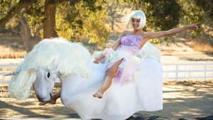 The Unicorn Rodeo