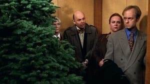 Perspectives on Christmas