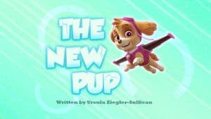 The New Pup