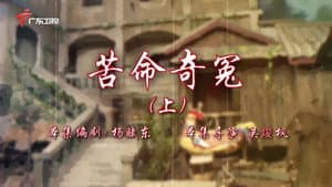Episode 95