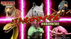 Episode 24