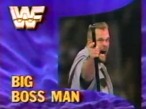 August 11, 1990 - Superstars of Wrestling 206