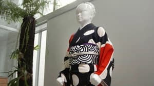 Evolving Kimono