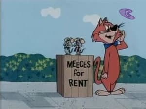 Mouse For Rent