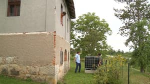 1847 Kojekude