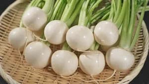 Turnip