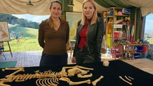 Medieval Murder and Roman Pets