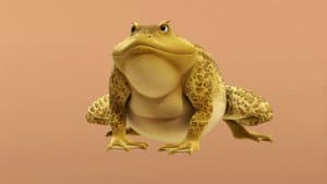 One Big Frog
