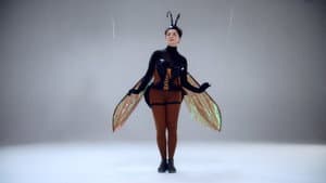 Wasp