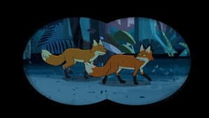 Episode 29