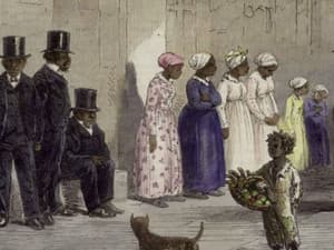 The Age of Slavery (1800-1860)