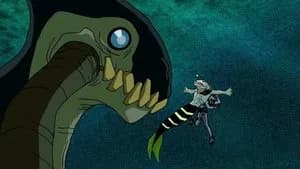 The Krakken