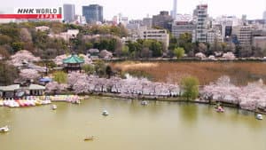 Ueno