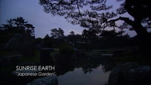 Japanese Garden