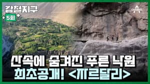 Episode 5