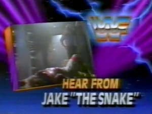 August 24, 1991 - Superstars of Wrestling 260