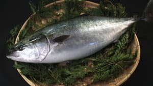 BURI