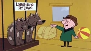 Campaigner Magoo