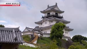 The Castle Towns of the Tokaido Route