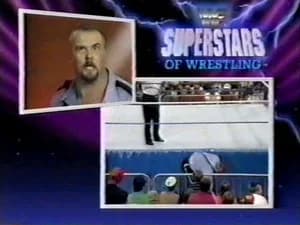November 2, 1991 - Superstars of Wrestling 270