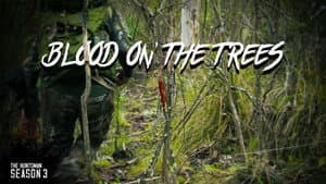 -6°C Frozen Sambar Hunt