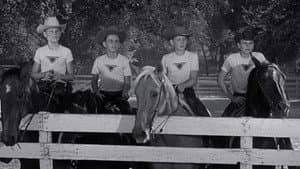 The Big Rodeo