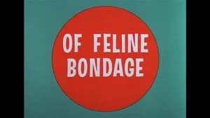 Of Feline Bondage