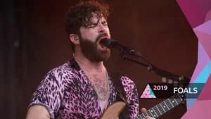 Foals