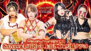 Sareee-ISM Chapter VIII