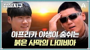 Episode 54