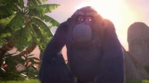 Beware of the Gorilla