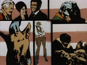 The Night of the Wolf