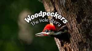 Woodpeckers: The Hole Story