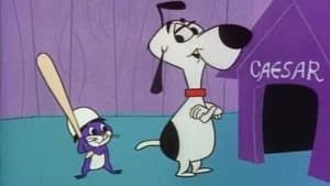 Magoo's Pets