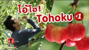 Episode 113
